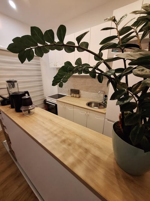 Vavic 1 Apartment in Dubrovnik-Neretva County