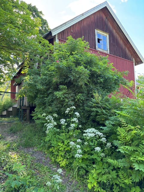 Country house near services House in Uusimaa