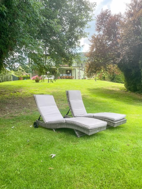 Garden, Garden view, sunbed