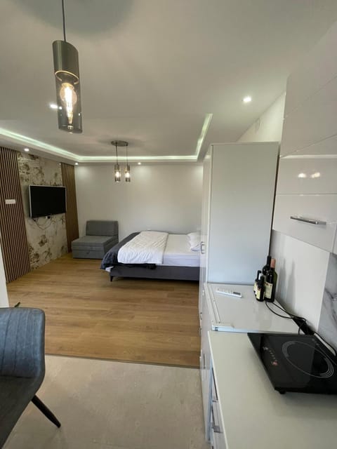 Boskovic Apartments Bed and Breakfast in Podgorica Municipality, Montenegro