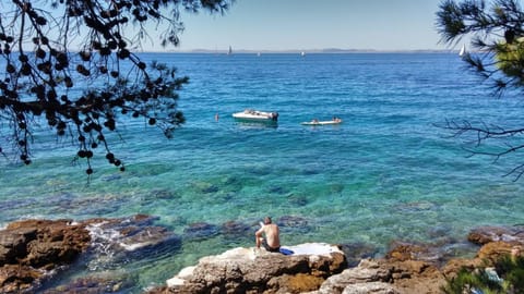 Apartman Miljenko TERASEA Apartment in Murter