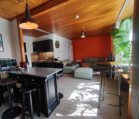 Kitchen or kitchenette, Seating area, Dining area