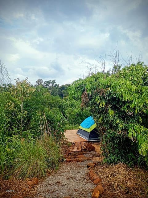Natural landscape, Bedroom