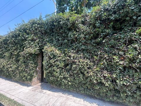 Chalet Azul a 3 min del parque acuático House in Ixtapan de la Sal