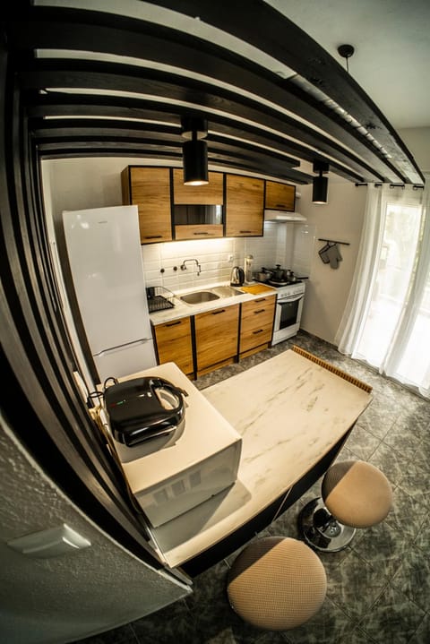 Kitchen or kitchenette, kitchen