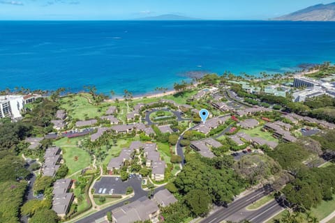 Wailea Elua 805 - 3-Bedroom Ocean View Luxury Condo in the Heart of Wailea, Maui House in Wailea