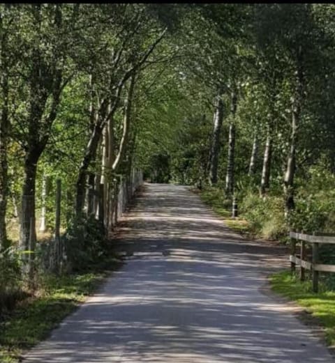 Inchmarlo Villa 29 Banchory House in Scotland