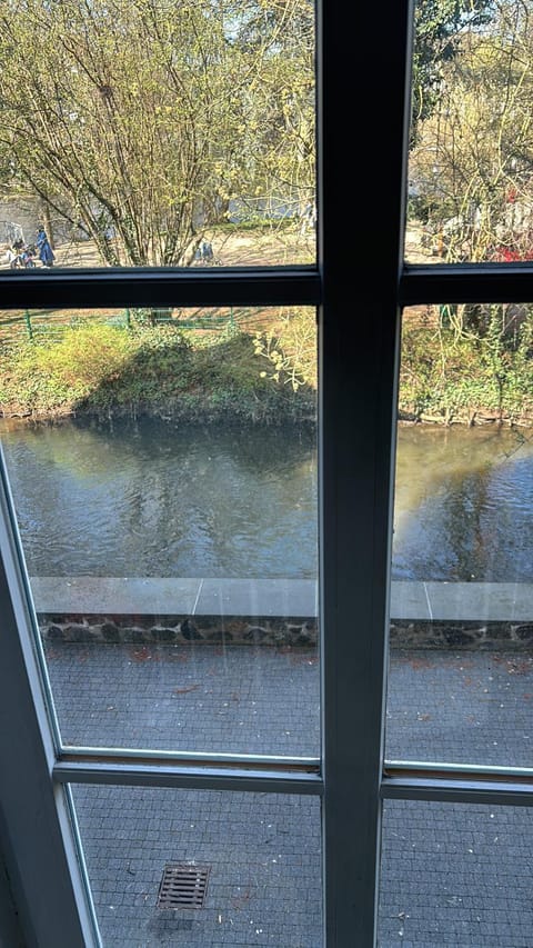 View (from property/room), River view