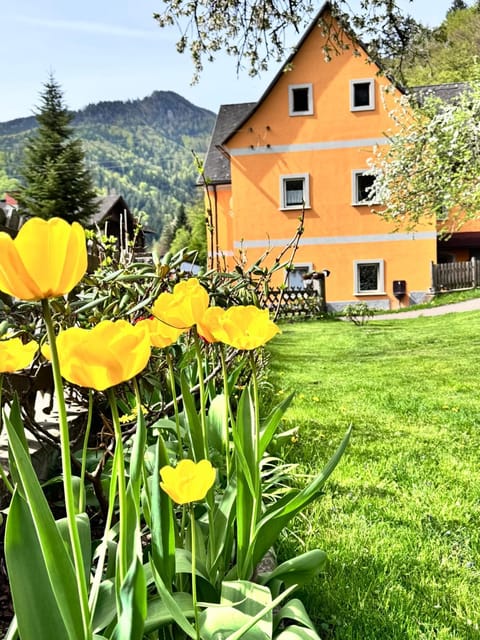 Property building, Garden, Garden