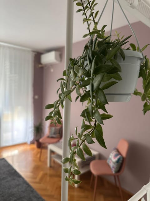 Living room, Decorative detail, Seating area