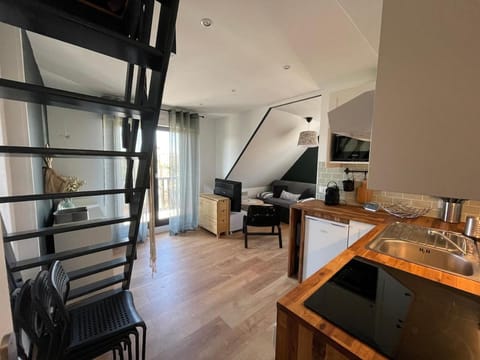 Magnifique appartement avec mezzanine prés Thalasso Apartment in Cabourg