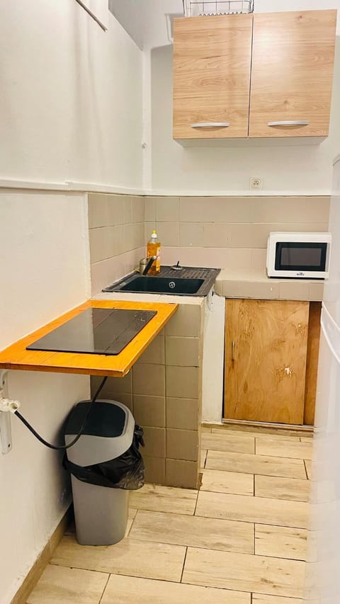 Appart' Del Sol Apartment in Les Abymes