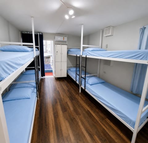 Bed, Photo of the whole room, Bedroom, bunk bed