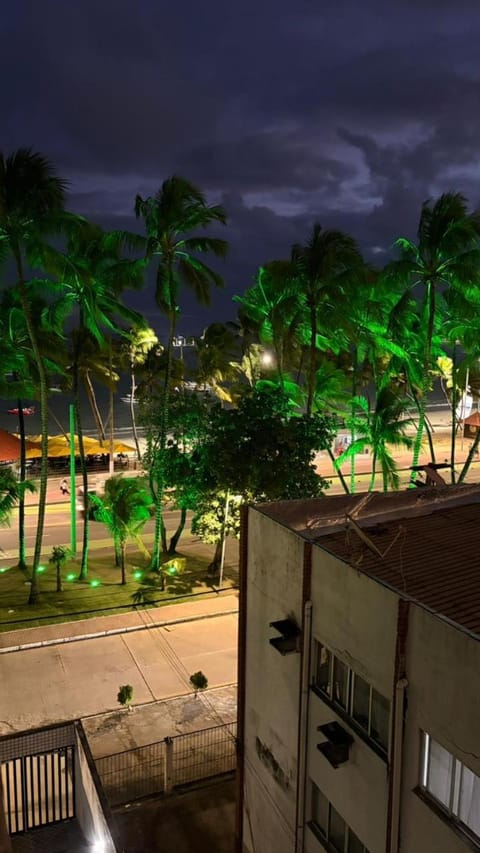 Night, Garden view