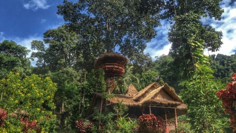 Restaurant/places to eat, Facade/entrance, Day, Garden, On site, Pets, Garden view, Mountain view, Sea view, Meals, Lunch, Dinner, Drinks, Alcoholic drinks, Non alcoholic drinks