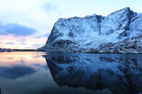 Reine Brygga Apartments Apartment in Lofoten