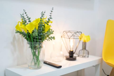 Riva 1 Apartment in Madrid