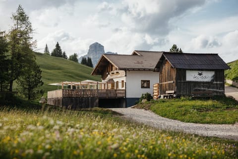 Property building, Day, Natural landscape, Garden, Garden view, Mountain view