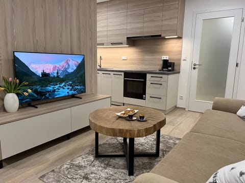 TV and multimedia, Kitchen or kitchenette, Photo of the whole room, Seating area