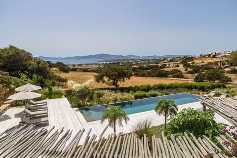 House of Old Olive Tree Villa in Paros, Greece