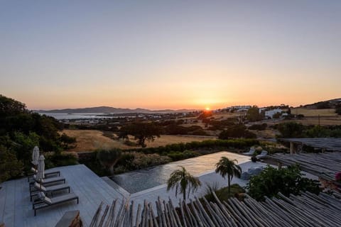 House of Old Olive Tree Villa in Paros, Greece