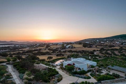 House of Old Olive Tree Villa in Paros, Greece