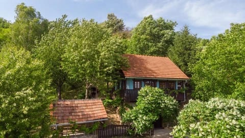 Property building, Spring, Day, Natural landscape, Garden, Garden view