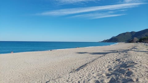 Restaurant/places to eat, Beach