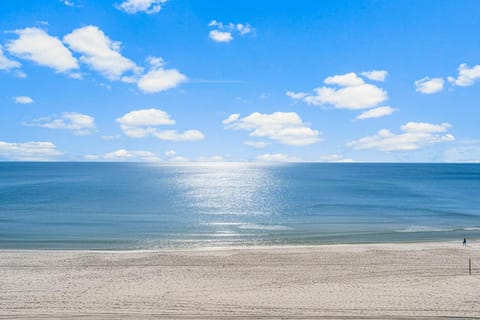 Sharkys Retreat 701 by Beach Haven Vacation Rentals Apartment in Panama City Beach