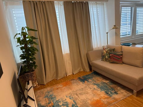 Piti Apartment in Lucerne