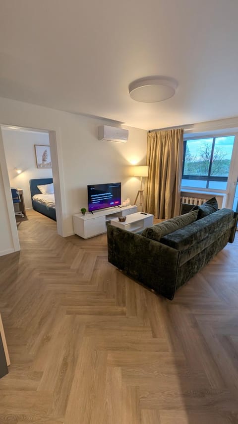 Living room, Seating area, Evening entertainment, air conditioner