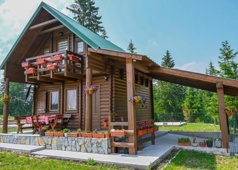 Mountain Viewpoint House in Montenegro