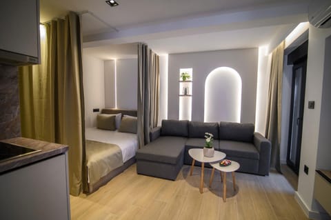 Bed, Living room, Photo of the whole room, Seating area, Bedroom