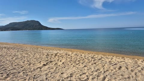 Beach, Sea view