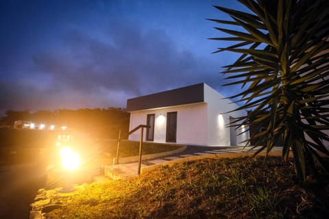 Day, Night, Garden view