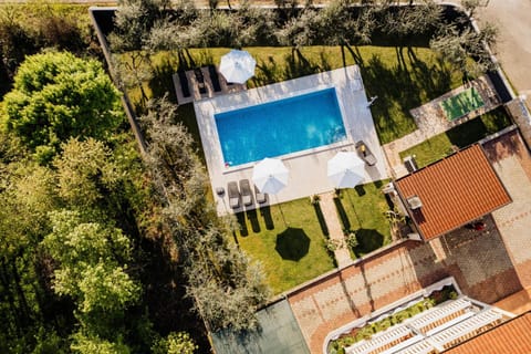 Garden, Swimming pool