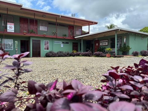 Property building, Day, Garden