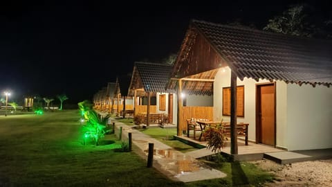 Night, Garden, Garden view