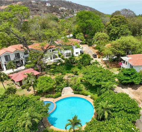 Natural landscape, Garden, Pool view