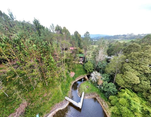 Lake view