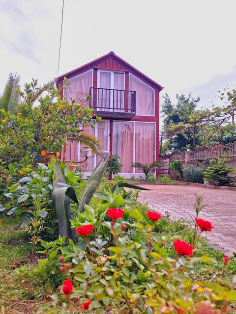 Spring, Garden, Garden view