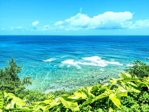 Charming Princeville Studio, AC, Pool, Hot Tub Apartment in Princeville