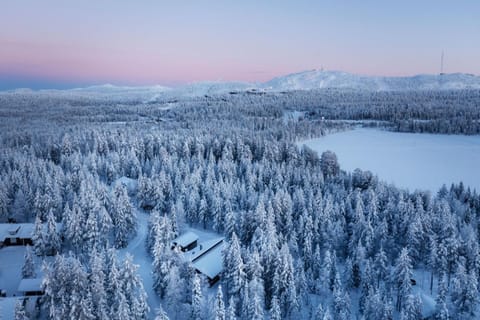 Nearby landmark, Natural landscape, Bird's eye view, Winter