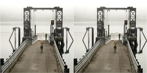 Amazing Sunrise at Coastal Luxury Cabin Rental on Herron Island with Fire Pit and Paddle Boarding near Olympia, Washington Cabin in Herron Island