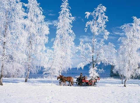 Natural landscape