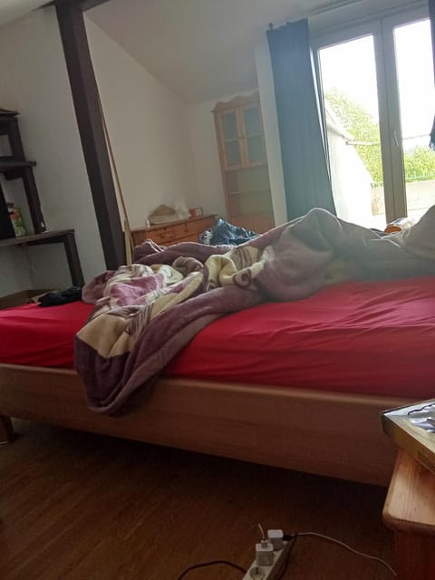 Privat Zimmer in einer Wohnung zu vermieten Vacation rental in Mulhouse