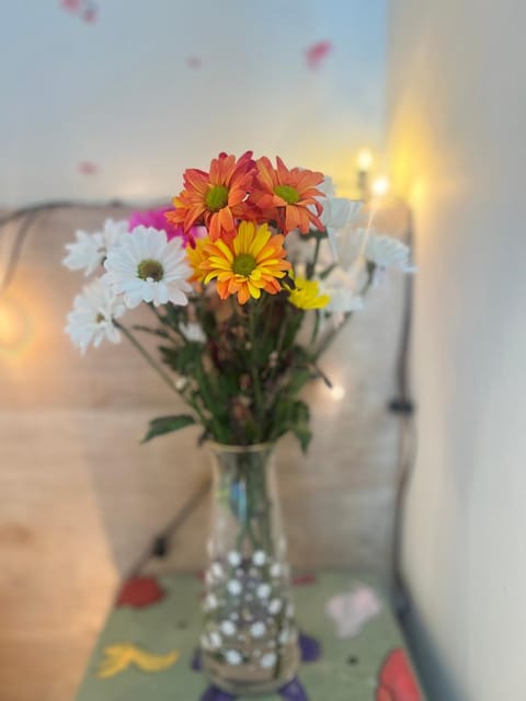 Golden House Vacation rental in Waterbeach