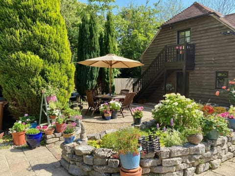 Property building, Patio, Facade/entrance, Garden