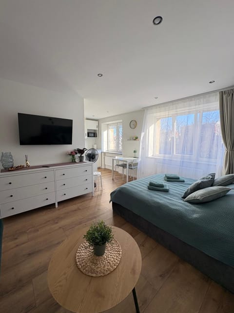 Bed, TV and multimedia, Kitchen or kitchenette, Living room, Photo of the whole room