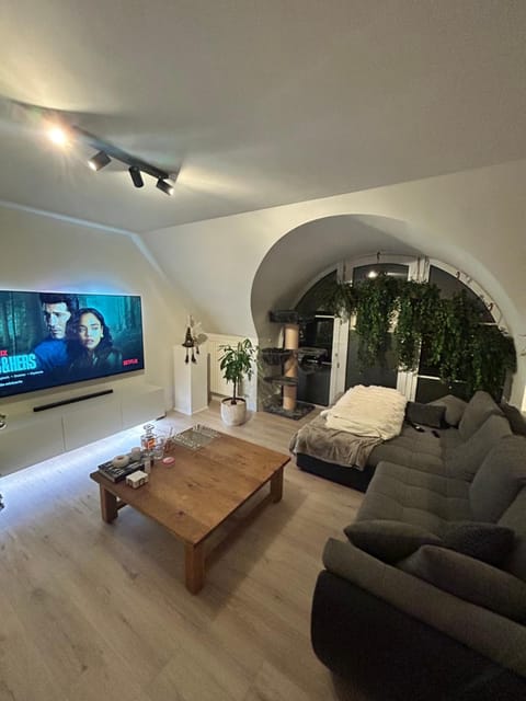 Tomorrowland 2026 Rooftop-Fireworks View Apartment in Flanders